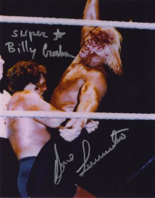 Bruno Sammartino Vs Superstar Billy Graham Signed 8x10 Rp Photo