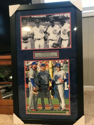 Chicago Cubs All - Star Infield Picture Collage 1969 - 2016 A One Of A Kind Picture