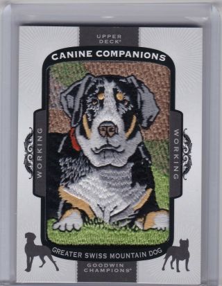 2017 Goodwin Champions Canine Companions 52 Greater Swiss Mountain Dog/working