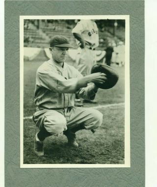 1930 Blue Ribbon Malt Premiums Ray Schalk Chicago Cubs
