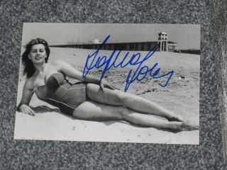 Actress Sophia Loren Signed 4x6 Sexy Photo Autograph 1e