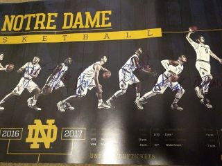 2016 - 17 NOTRE DAME BASKETBALL AUTOGRAPHED TEAM SIGNED 12x36 POSTER ACC 4