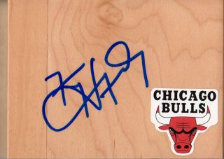 Chicago Bulls Kirk Hinrich Autographed Floorboard