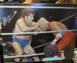Bruno Sammartino VS Billy Graham 16x20 WWE WWF 3