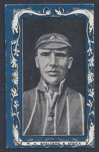 1909 Cricket Cigarette Card W A Shalders