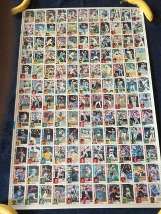 1984 Topps Nestle Baseball Uncut Sheet Of 132 Cards W/all Star Cards—board 1 - 2