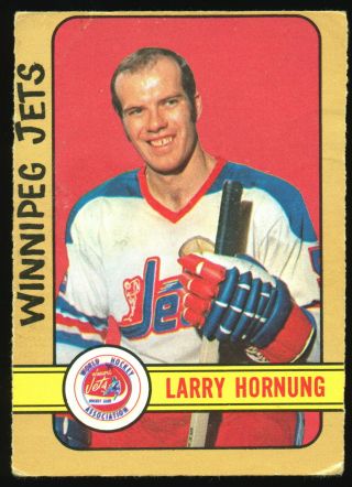 1972 73 Opc O Pee Chee 317 Larry Hornung Vg - Ex Wha Winnipeg Jets Hockey Card