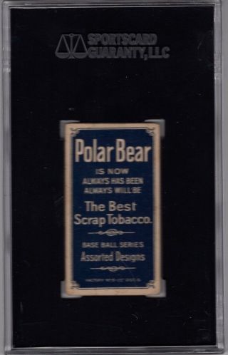 1909 - 11 T206 Billy Maloney Rochester Bronchos Polar Bear (Highest Graded) SGC 5 2