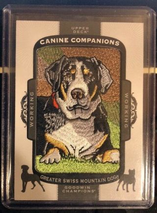 2017 Goodwin Champions Canine Companions Greater Swiss Mountain Dog
