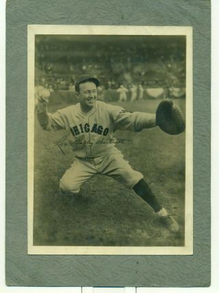 1930 Blue Ribbon Malt Premiums Gabby Hartnett Chicago Cubs Hof