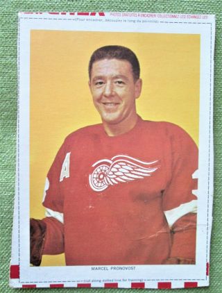 1963 - 65 Chex Cereal Nhl Hockey Photo Marcel Pronovost Of Detroit Red Wings