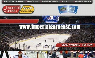 18 - 19 ICE HOCKEY (TEN) 10 BOX CASE BREAK 1417 - Ottawa Senators 4