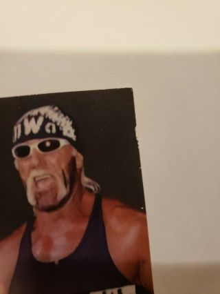 Rare 1998 Topps WCW nWo Hollywood Hulk Hogan Autograph Auto Jsa Authenticated 2