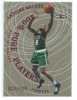 Antoine Walker 100 Pure Players /100 Purple 1999 - 00 Nba Hoops Skybox Celtics