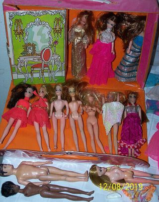 VINTAGE 1970 ' S DAWN AND HER FRIENDS DOLLS CASE,  13 DOLLS & CLOTHES 2