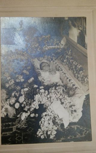 Antique Photo Post Mortem Baby Death Open Casket Funeral Vintage Plus One
