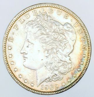 1902 P Morgan Dollar Rare Date One Of A Kind Unique Toning Nr 14019