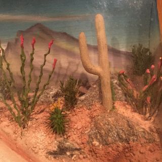 Vintage1950 ' s Diorama Desert Scene in Relief - Landscape View Co.  Tucson Az.  Rare 2