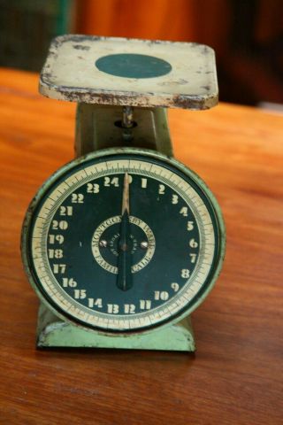 VINTAGE MONTGOMERY AND WARD FAMILY SCALE 2