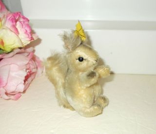 Vintage Steiff Squirrel Possy With Tag And Button 2005/10 1960s