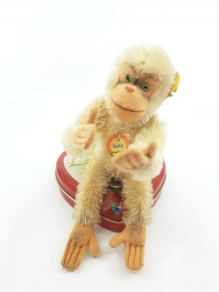 Steiff Jocko White Chimpanzee 5315 15 Cm All Ids Vgc Vintage Antique Toy 1949 - 58