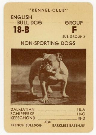 1939 Rare Akc Usa Dog Card Bulldog English Bulldog American Kennel - Club