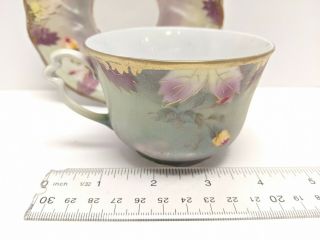 RARE 1876 - 1900 C.  T.  CHANTILLY TEA CUP & SAUCER GERMANY PORCELAIN HAND PAINTED 3