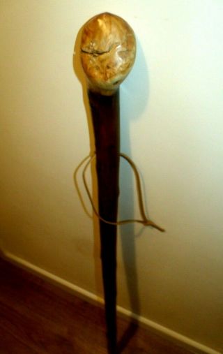 Root Knob Rustic Walking Stick One Piece Chestnut Solid Wood Rare Top Stick 47 "