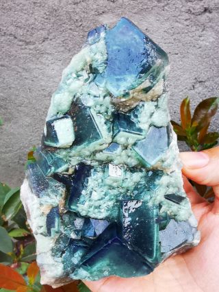 Top Rare Translucent Green Cube Fluorite Mineral Specimen 451g