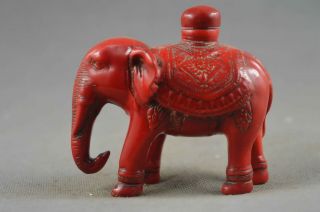 Collectable Handwork Decor Coral Carve Elephant Auspicious Ancient Snuff Bottle