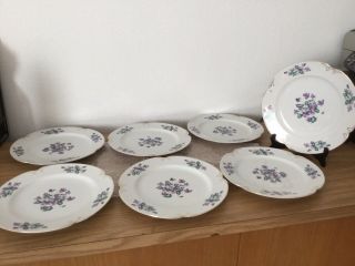 Vintage Antique Crescent Fine China Viola Dinner Plates Set Of 7 Rare Find