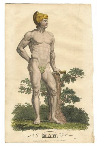 Antique 1822 Mythology Hand Colored Print Nude Man In Helmet Litho Engraving