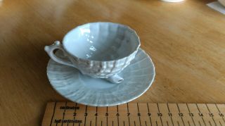 China Tea Cup And Saucer,  Shell Design,  A Present From Porthcawl