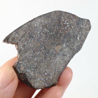 21g Rare Chondrite Meteorite Nwa Unclassified Meteorit Chondrit Slice A4302