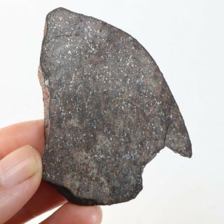 21g Rare chondrite meteorite NWA unclassified Meteorit Chondrit slice A4302 2