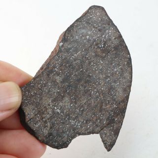 21g Rare chondrite meteorite NWA unclassified Meteorit Chondrit slice A4302 3