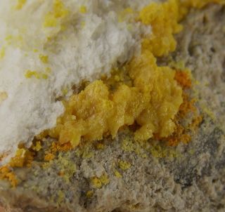 Kleinite On Very Rare Terlinguacreekite - 3.  3 Cm - Mcdermitt Mine,  Nevada 22956
