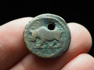 Domitian.  Ad 81 - 96.  Æ Quadrans,  Rhinoceros,  Rare