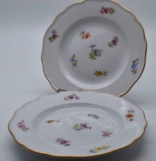 Antique / Vintage Meissen Plates - Hand Painted Flowers