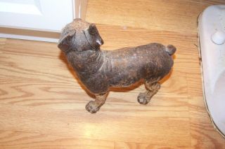 Rare Antique Boston Terrier Boxer Cast Iron Statue Door Stop - 10 "