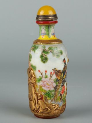 Chinese Exquisite Handmade Flower Bird Pattern People Glass Snuff Bottle