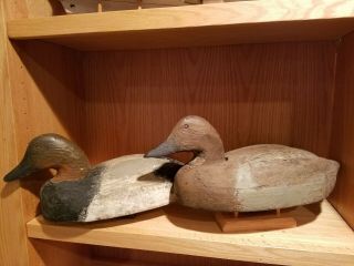 Rare Oversized Old 1940 Waseca Minnesota Herters Canvasback Wood Duck Decoy Pair
