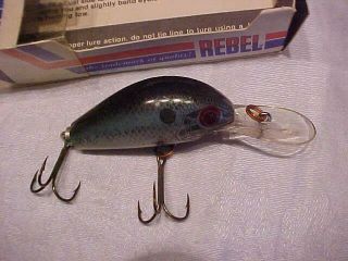 Rebel Naturalized Shad - R D2674 Spoon 3 1/2 " Fishing Lure Box