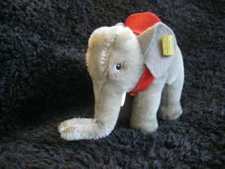 Rare 1968/78 German Steiff Elephant W.  Button & Tag