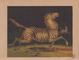 Zebra African Animals African Wildlife Art Antique Lithograph 1865
