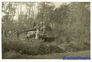 RARE US Officers Look Over KO ' d German TIGER II Heavy Panzer Tank in Woods 2