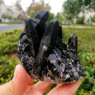 170g Natural Beauty Rare Black Quartz Crystal Cluster Mineral Specimen Fca486