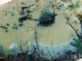 Rimrock: 2.  40 Lbs Rare Oregon Green Opalized,  Petrified Wood Rough