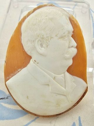 Antique Oval Shell Cameo Gentleman In Profile Left Facing - Un Mounted