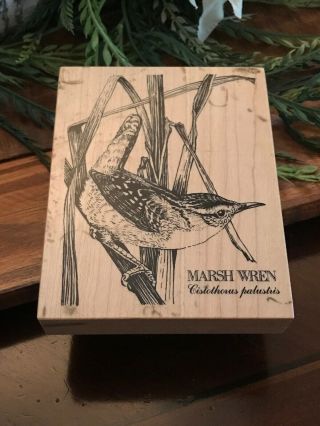 Psx Marsh Wren Rubber Stamp K - 2145 Bird Grass Nature Wood Rare